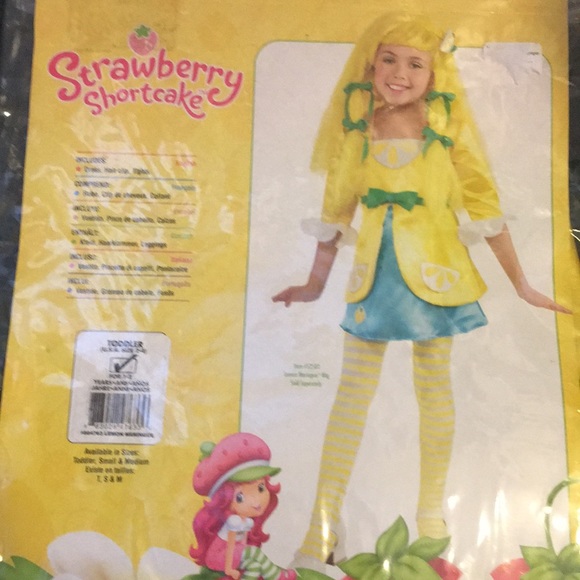 Lemon Meringue Dress-Up 3 Pc Girls outfit NEW Size 2-4 Strawberry Shortcakes Pal - Picture 2 of 5